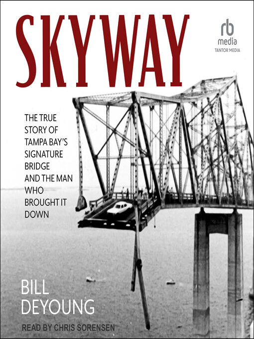 Title details for Skyway by Bill DeYoung - Available